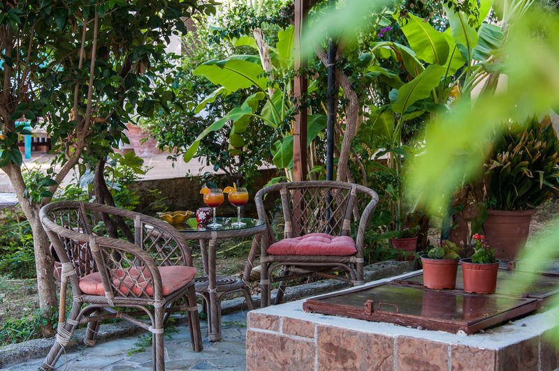 Zante Nest Studios&apartments Alykanas (Zakynthos)