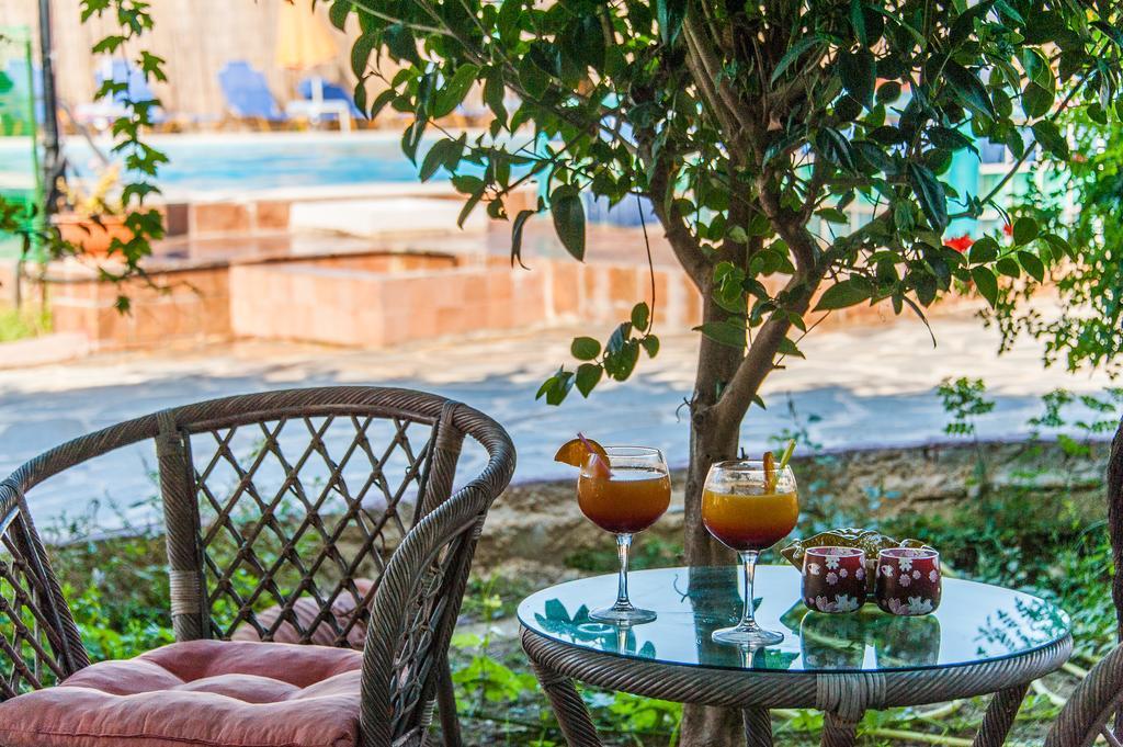 Zante Nest & 2* Alikanás
